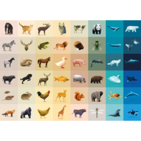 Puzzles y Rompecabezas - Puzzle Fauna 1000 piezas - CL3018_1.jpg