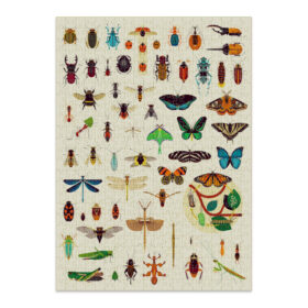 Puzzles y Rompecabezas - Puzzle Insectos 500 piezas - CL3023_1.jpg