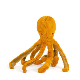 Primera infancia - Pulpo Pequeño