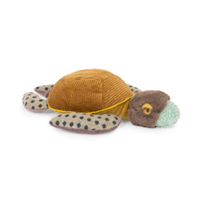 Primera infancia - Tortuga Pequeña