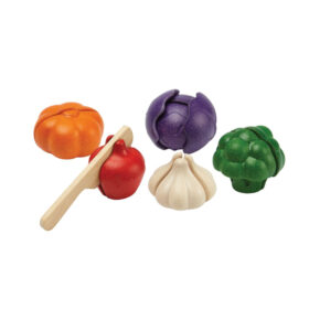 Juegos simbólicos - 5 Vegetales de Colores - PLANTOYS-3431_2.jpg