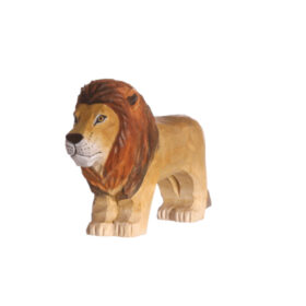 Juegos simbólicos - León