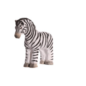 Juegos simbólicos - Zebra
