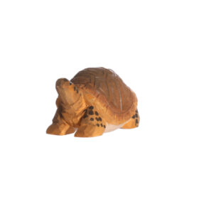Juegos simbólicos - Tortuga