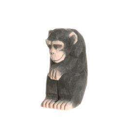 Juegos simbólicos - Chimpancé