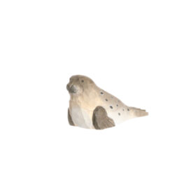 Juegos simbólicos - Foca del Puerto