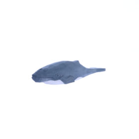 Juegos simbólicos - Ballena Jorobada